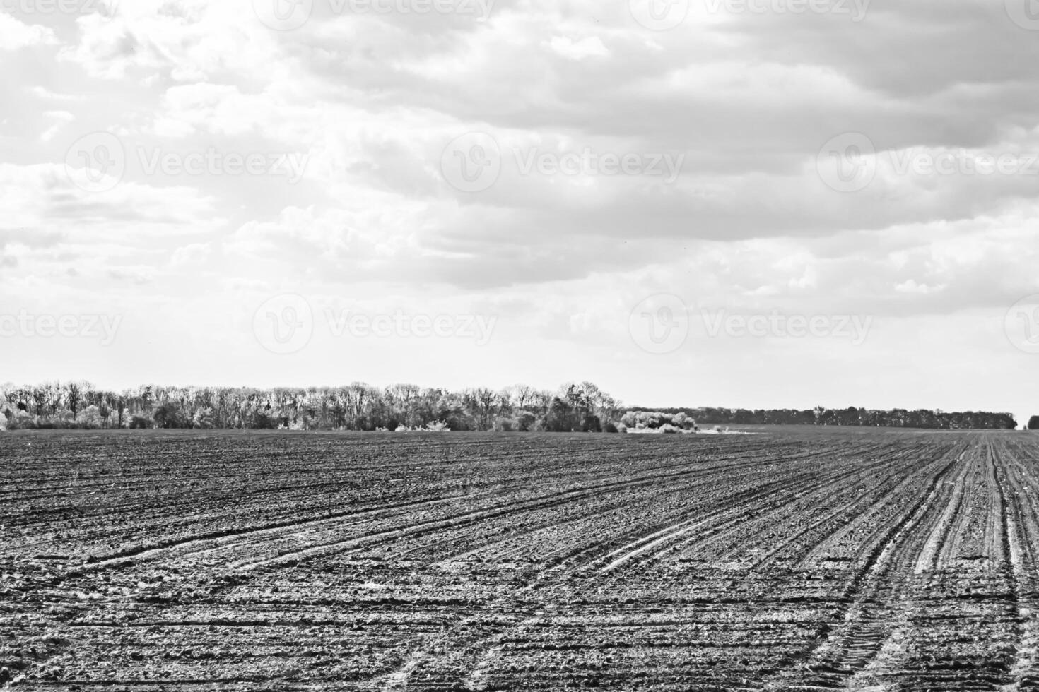 Photography on theme big empty farm field for organic harvest photo