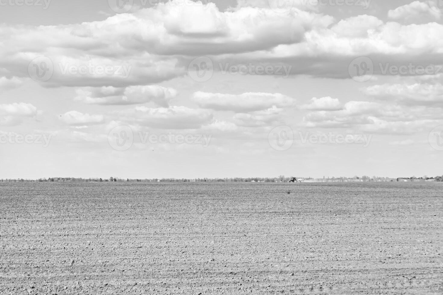 Photography on theme big empty farm field for organic harvest photo