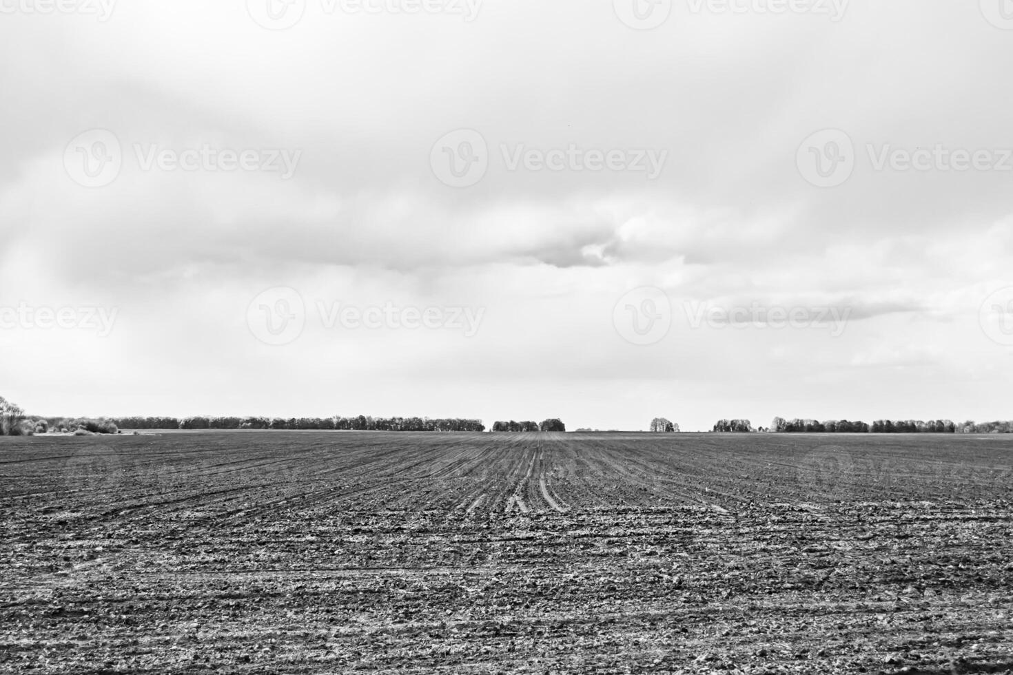 Photography on theme big empty farm field for organic harvest photo