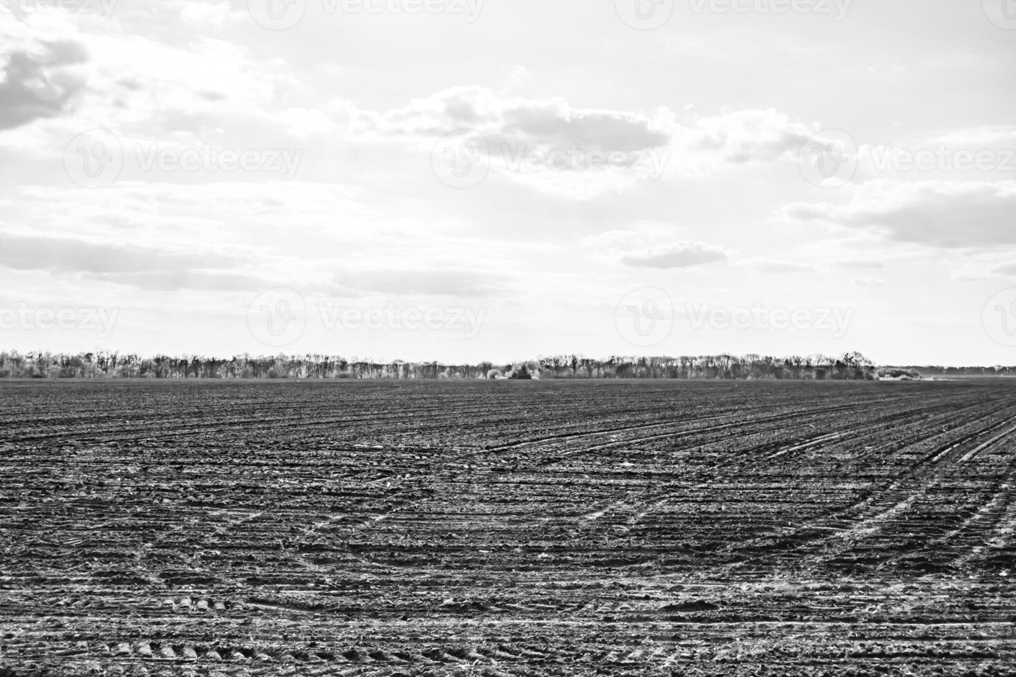Photography on theme big empty farm field for organic harvest photo
