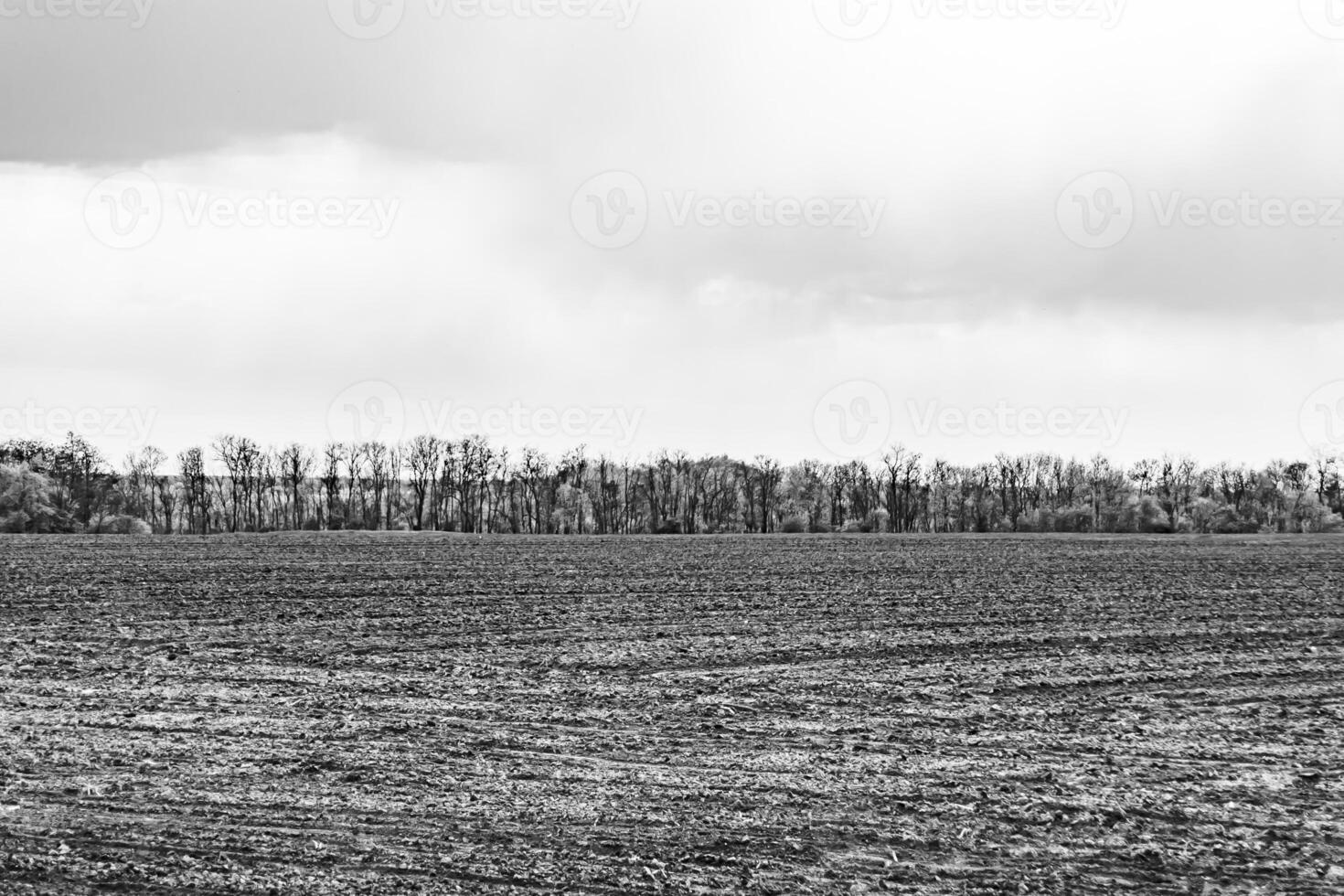 Photography on theme big empty farm field for organic harvest photo