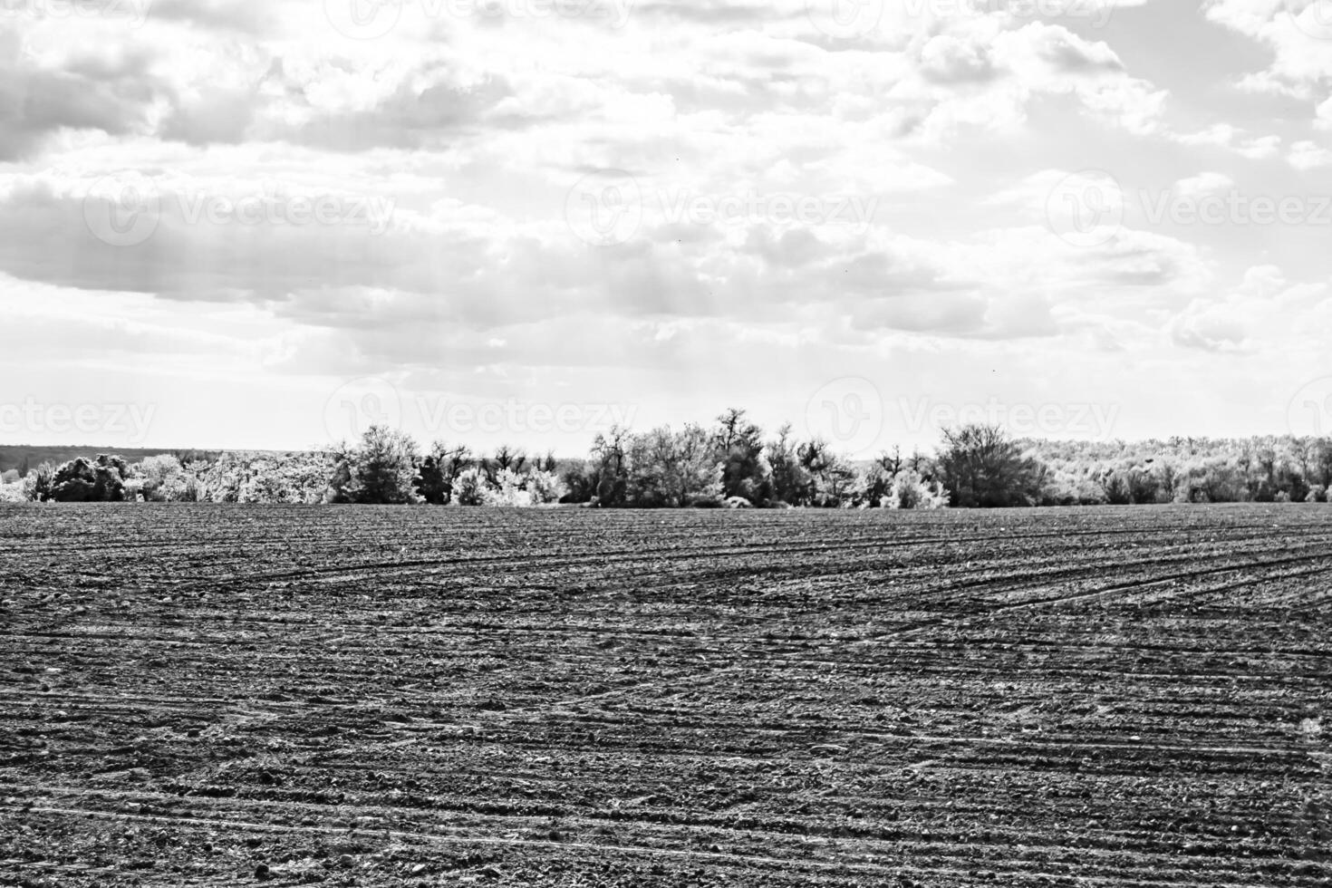 Photography on theme big empty farm field for organic harvest photo
