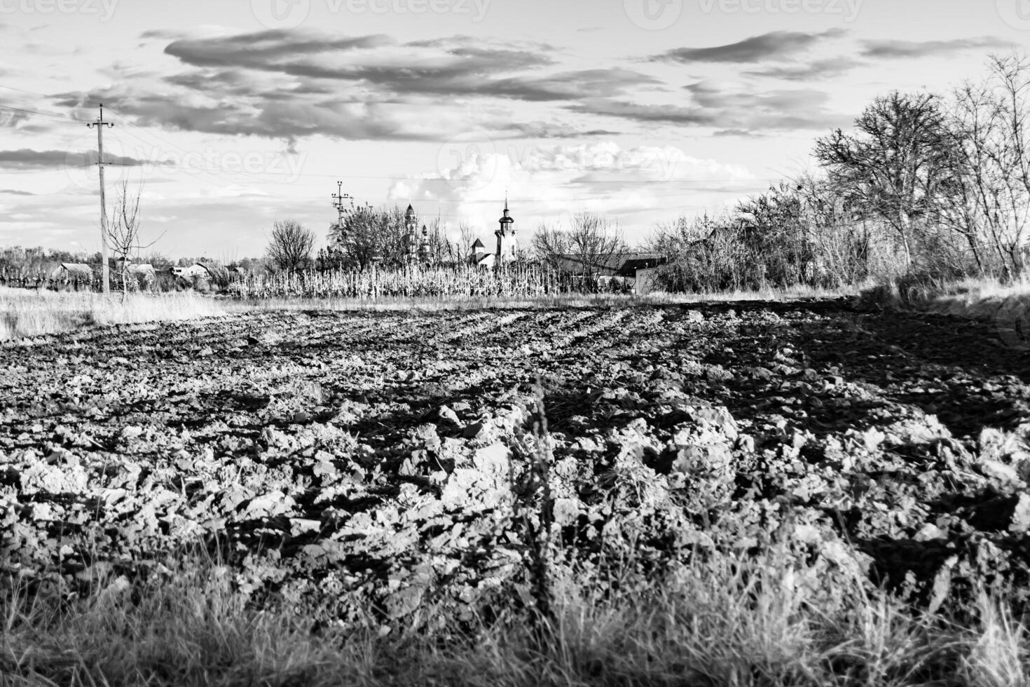 Photography on theme big empty farm field for organic harvest photo
