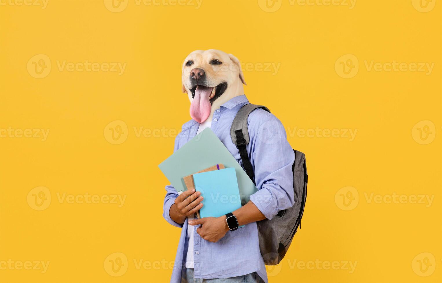 A whimsical scenario unfolds as a cheerful Labrador retriever head is humorously placed on a dressed male figure. The person stands confidently against a vibrant yellow background photo