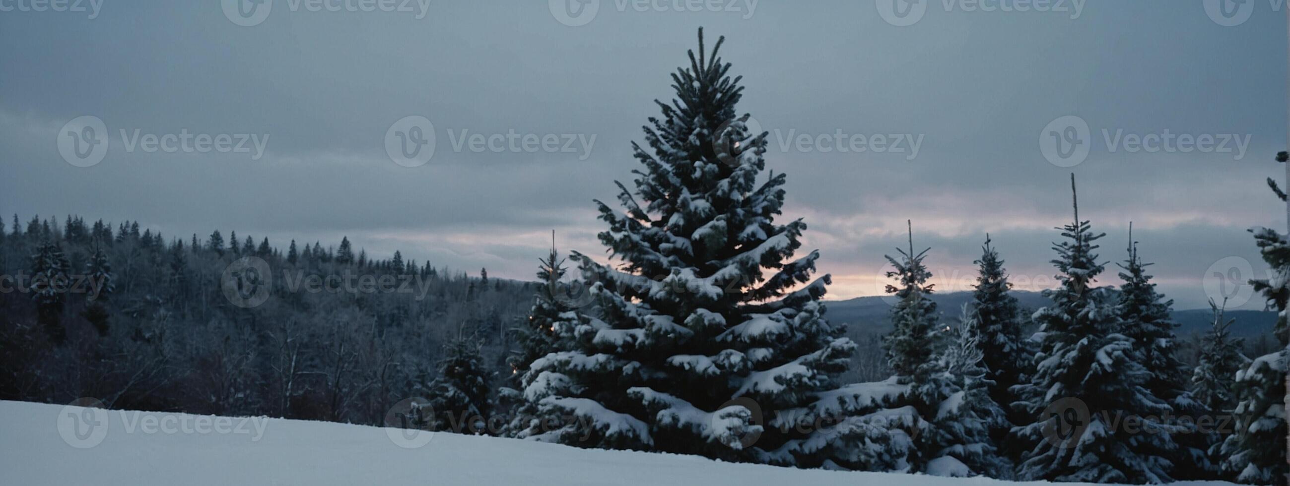 A snowy forest with trees and a sunset photo
