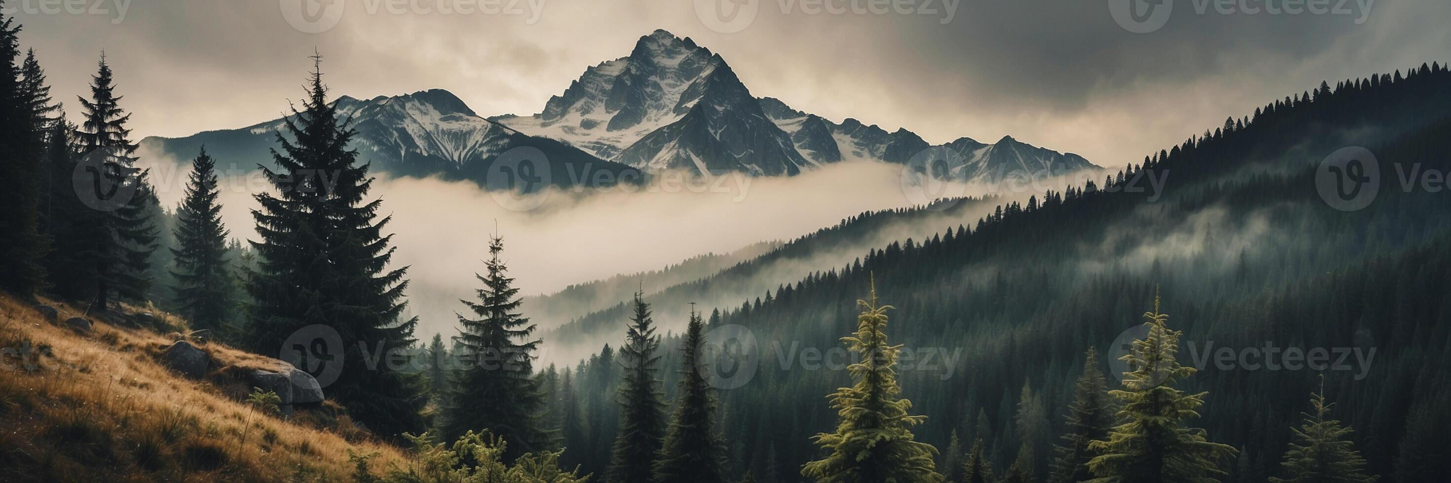 Mountains and trees in the fog with a cloudy sky photo