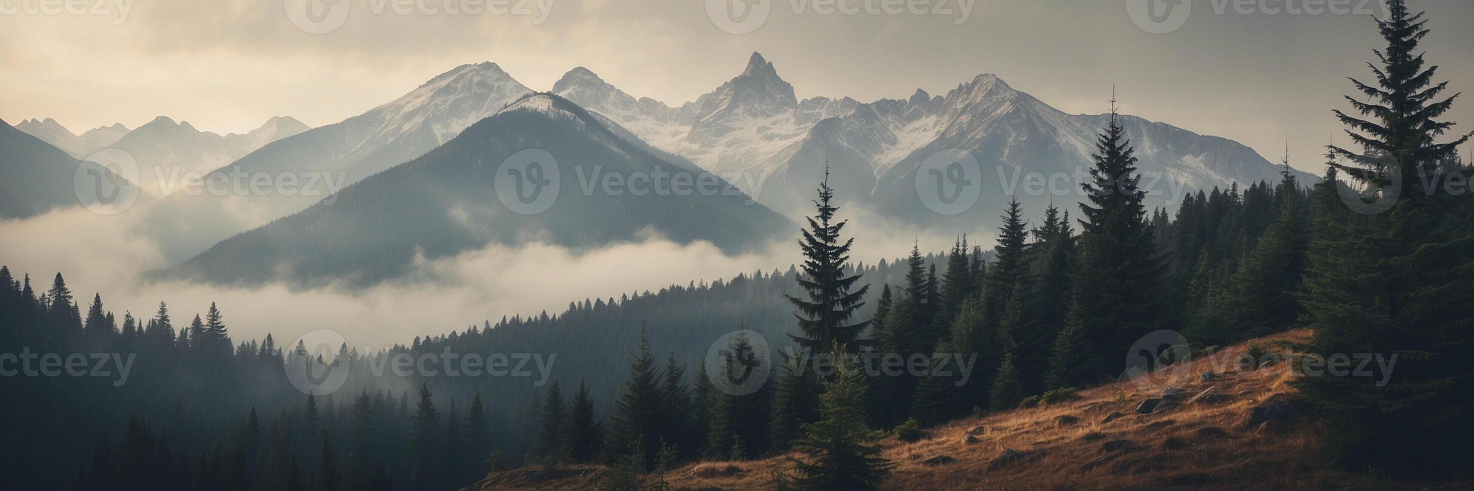 Mountains and trees in the fog with fog rolling in photo