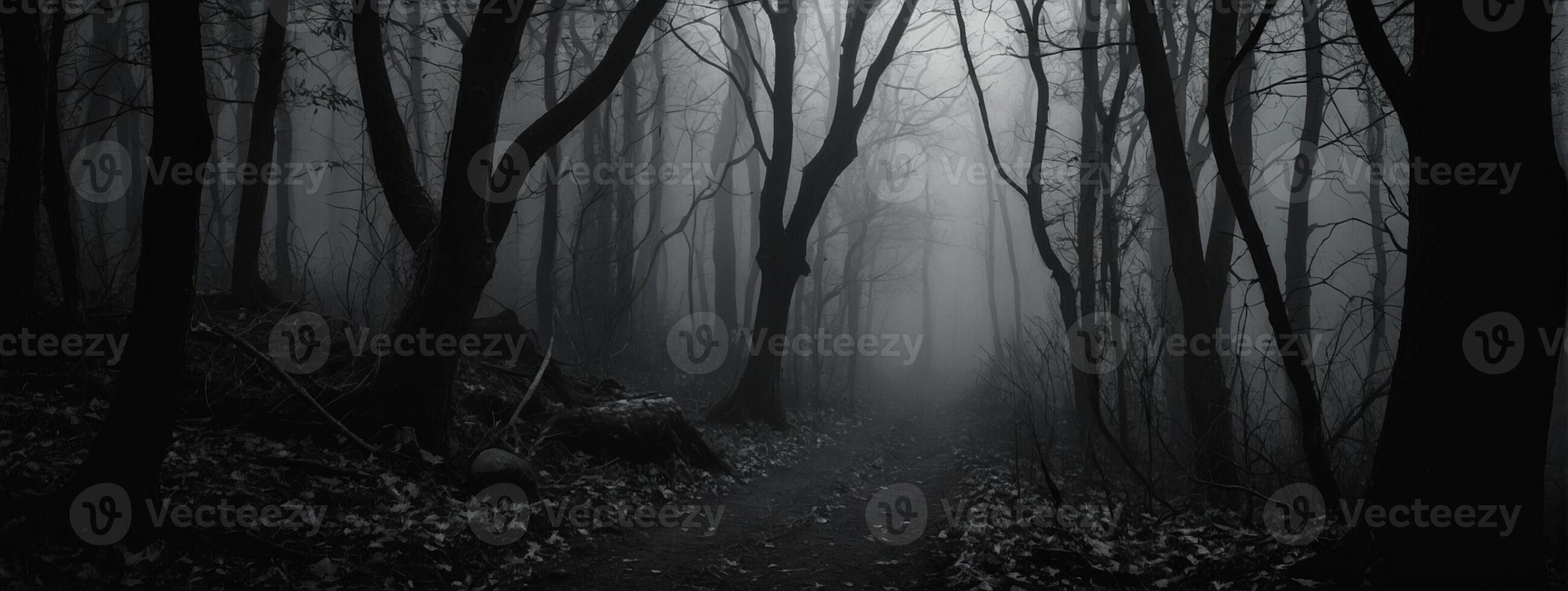 A dark path in the woods with trees and fog photo