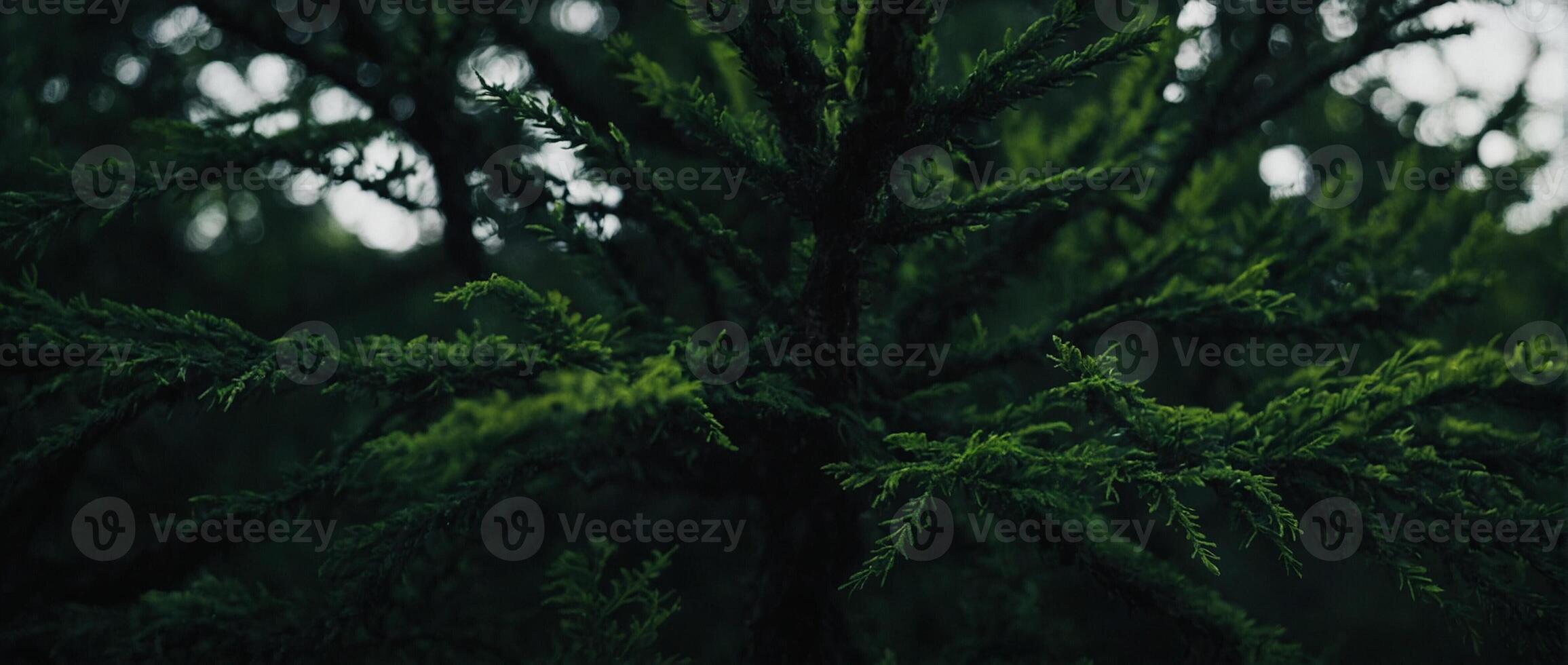 A close up of a tree with green leaves photo