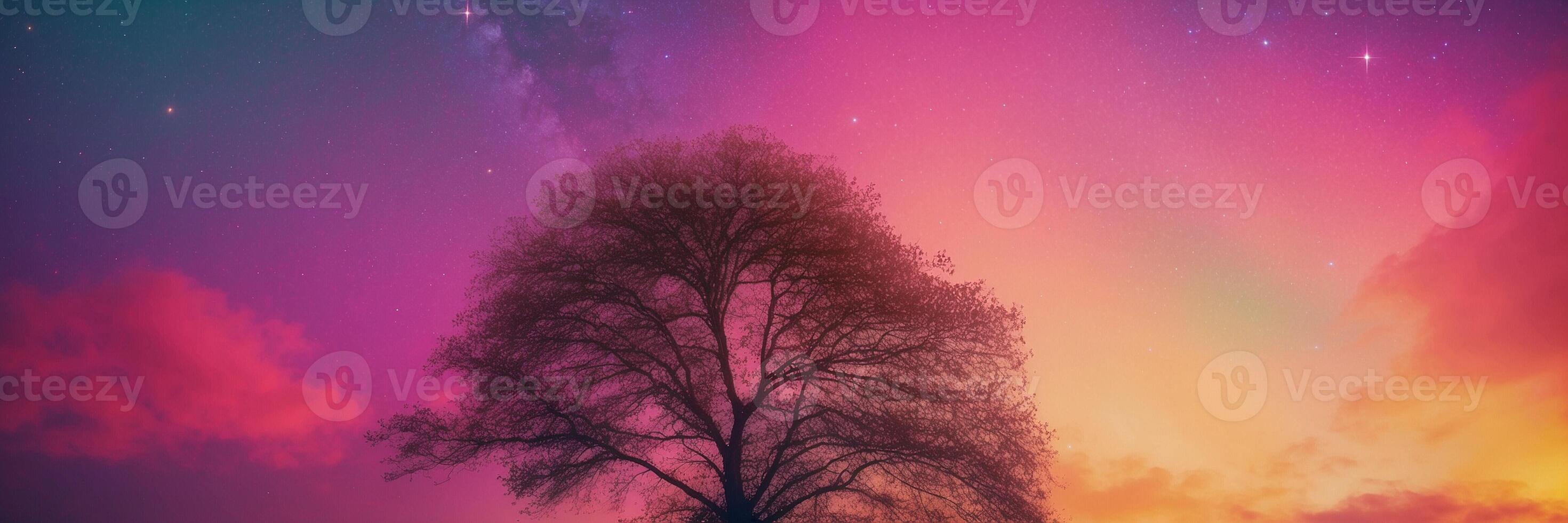 A tree in front of a colorful sky photo