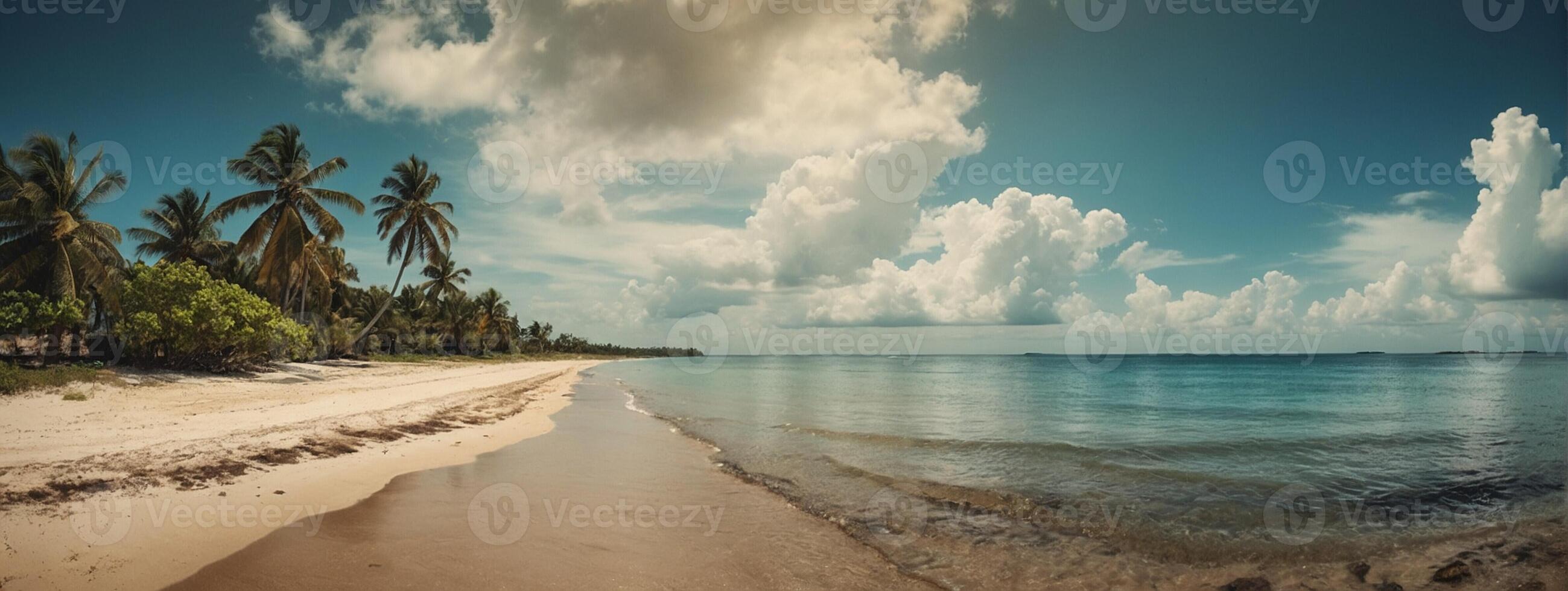Tropical beach with palm trees and clouds photo