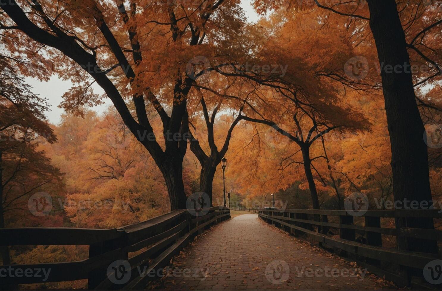 A bridge in the middle of an autumn forest photo