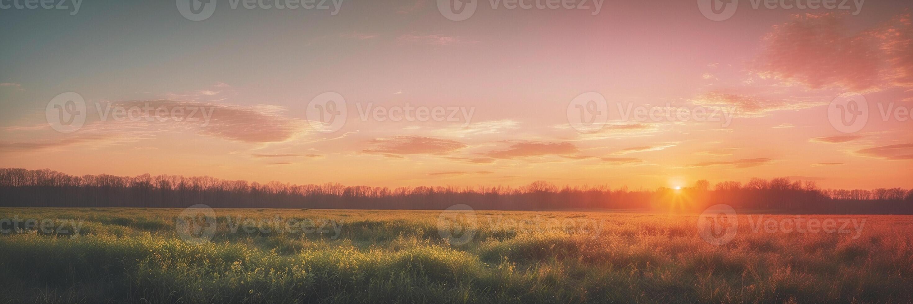 A sunset over a field with grass and trees photo