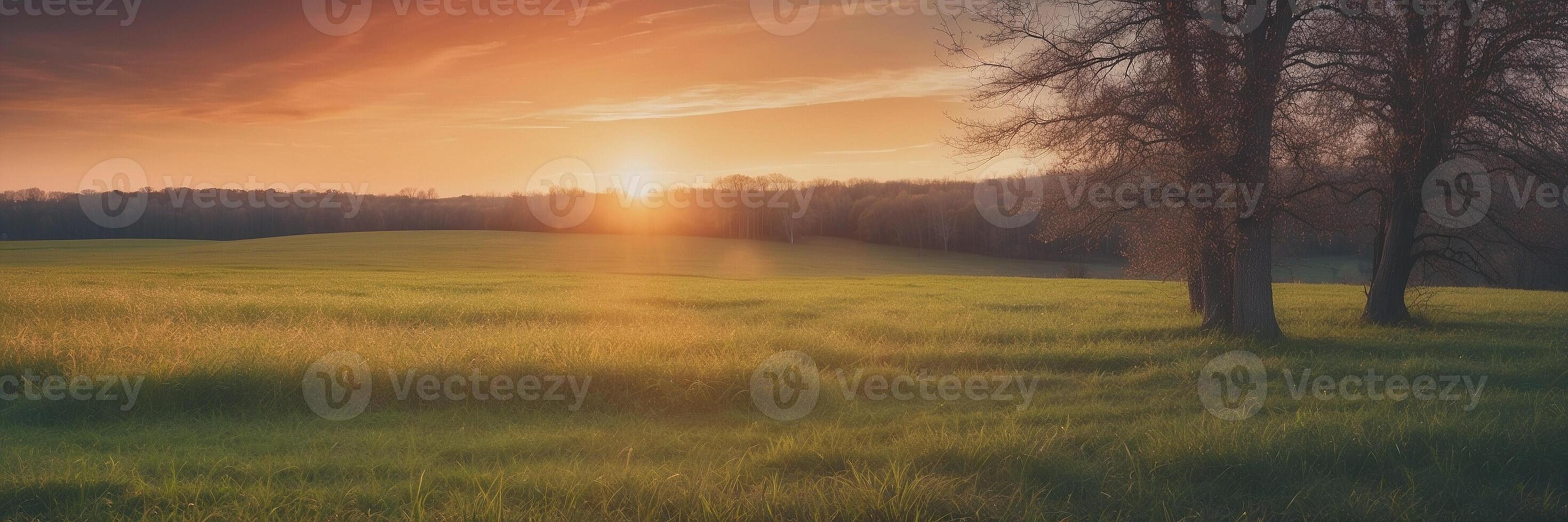 A field with trees and the sun setting over it photo