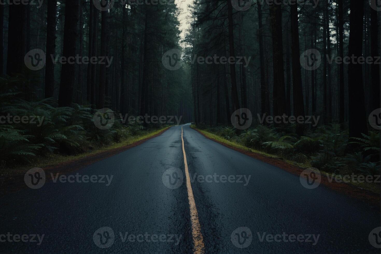 A long road in the middle of a forest photo