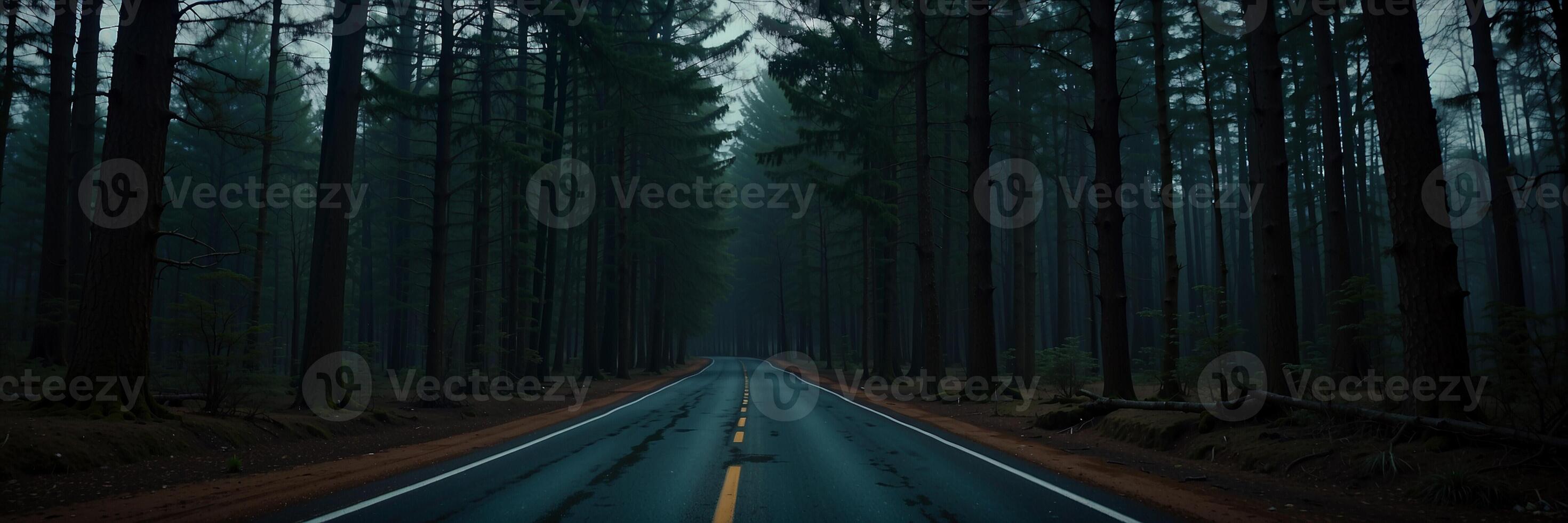 A long road in the middle of a forest photo