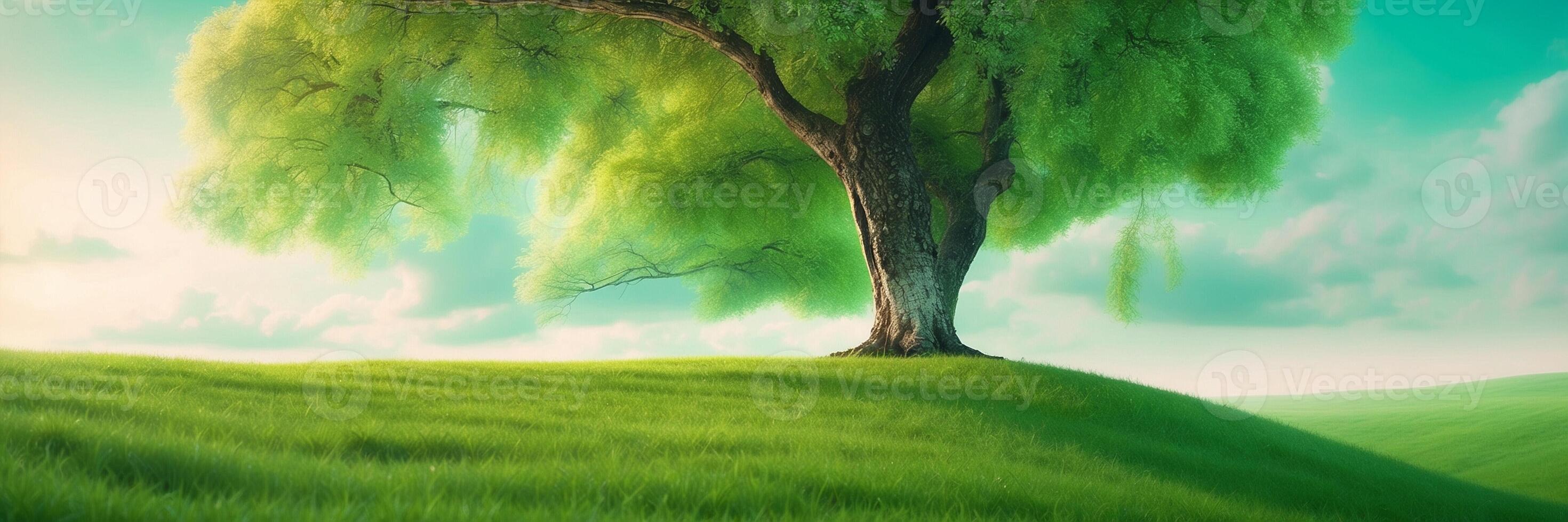A green tree stands alone on a hill photo
