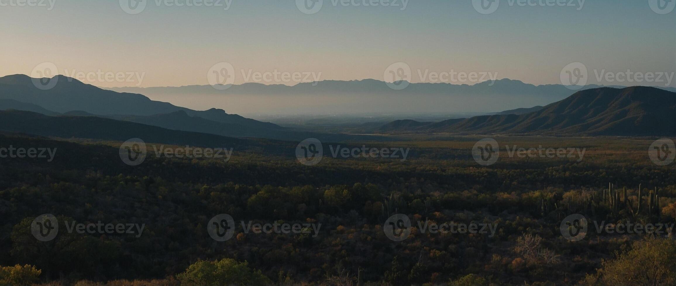 A view of the mountains and trees from above photo
