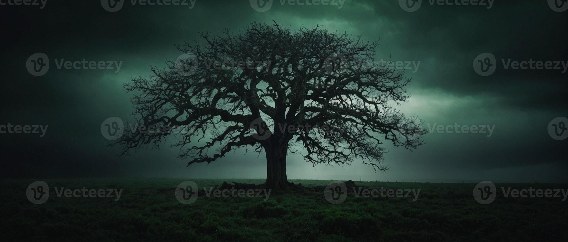 A lone tree stands in a field under a dark sky photo