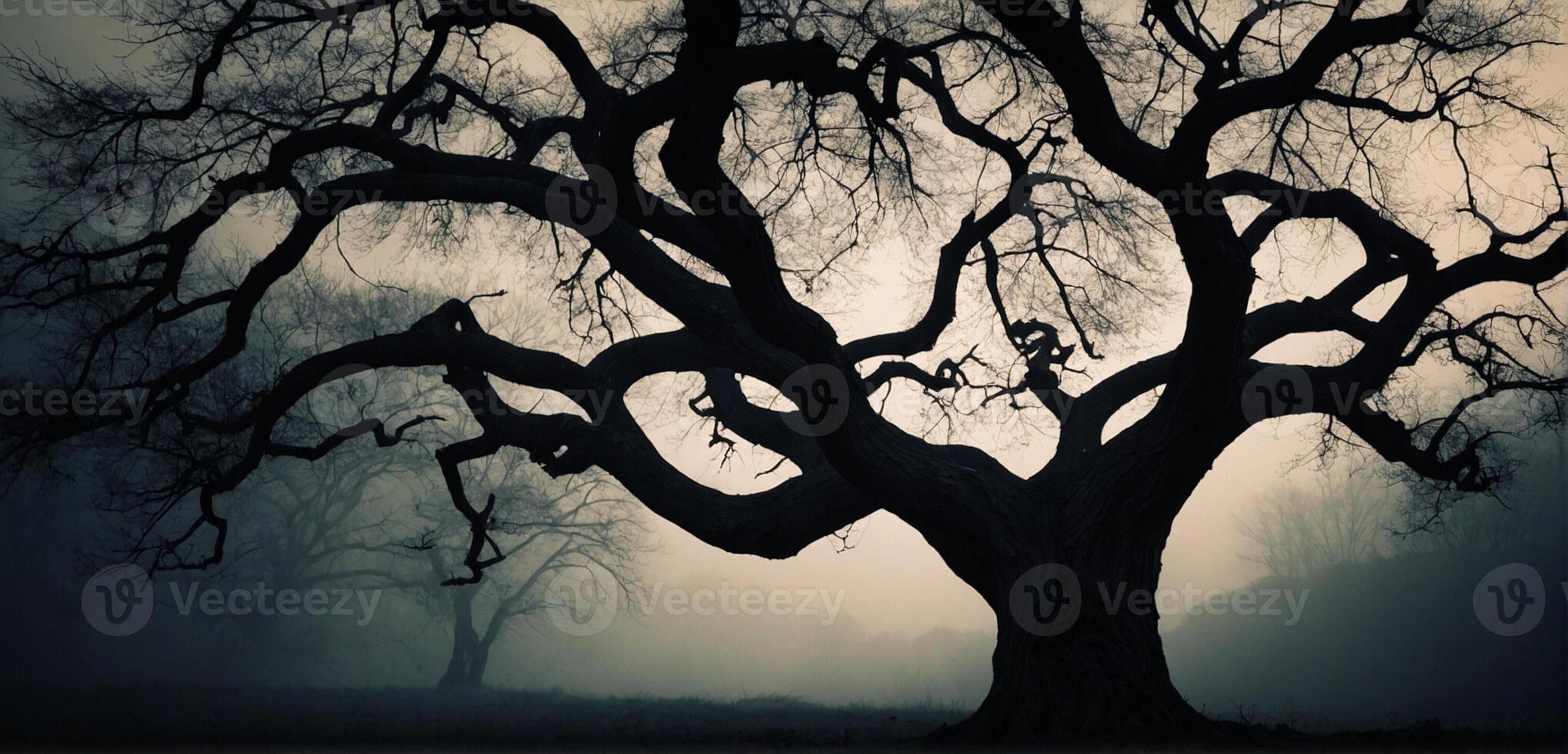 A tree in the fog with no leaves photo