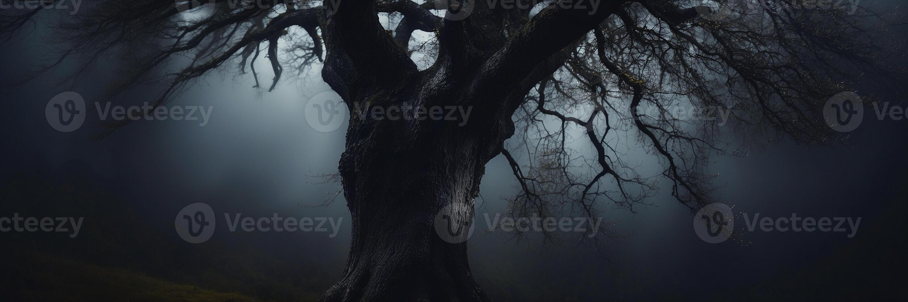 A dark tree in the dark with fog photo