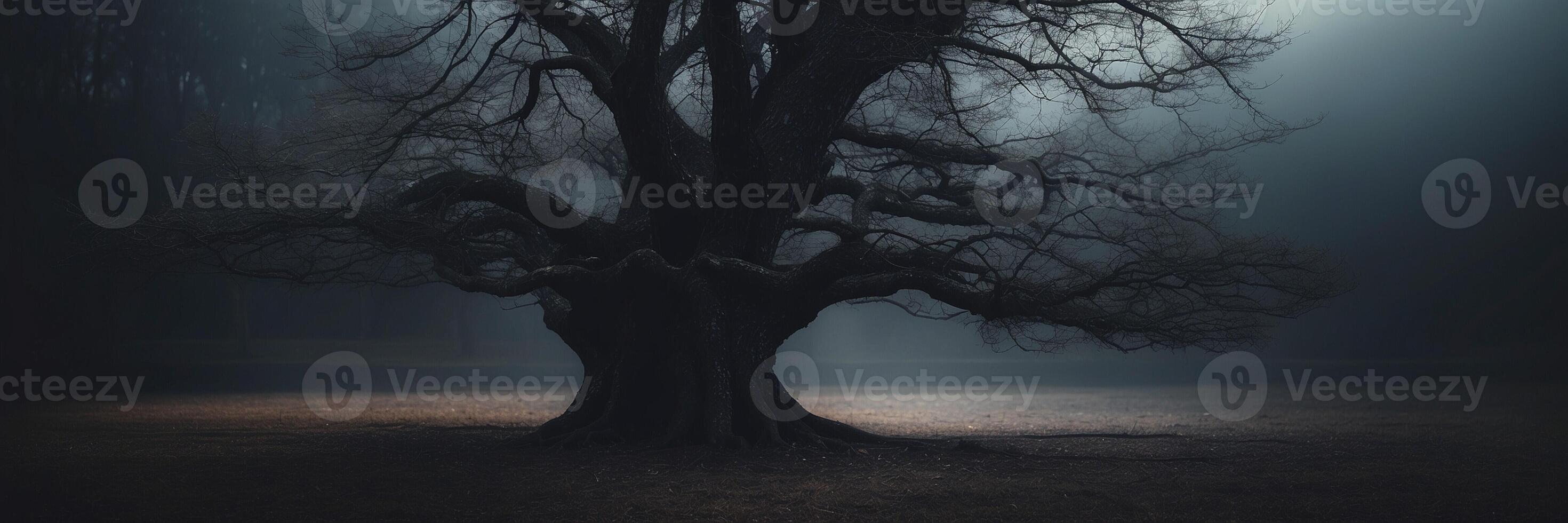 A dark tree in the fog with a light shining through photo