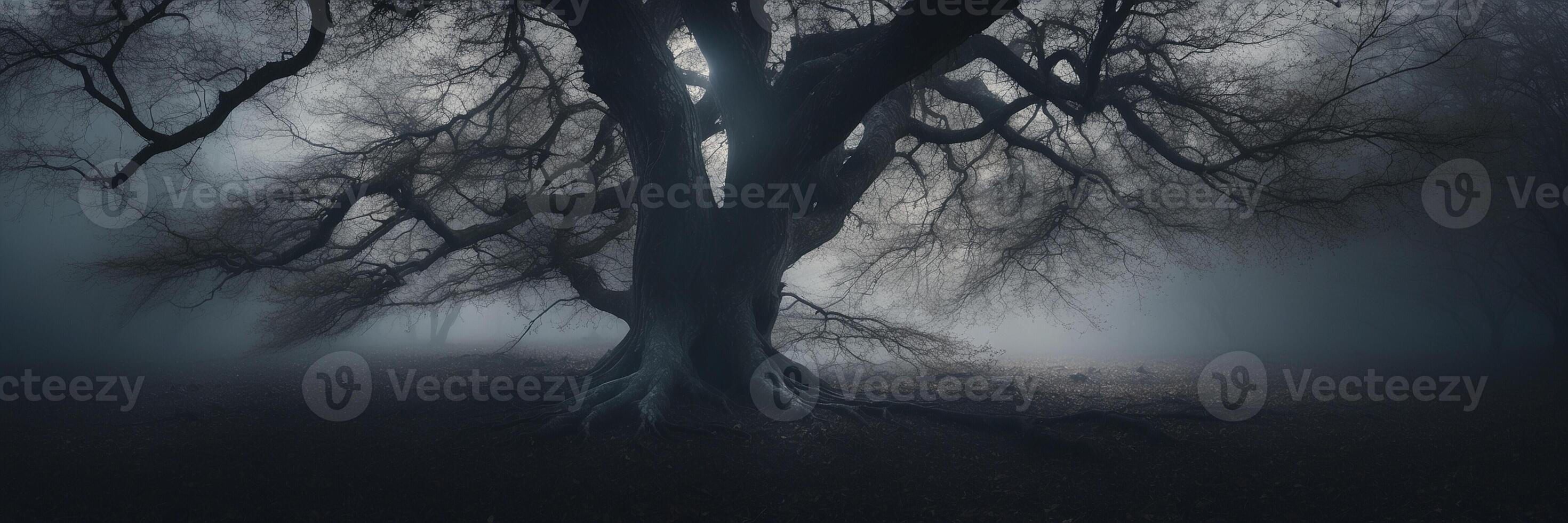 A dark tree in the fog with a light coming from it photo