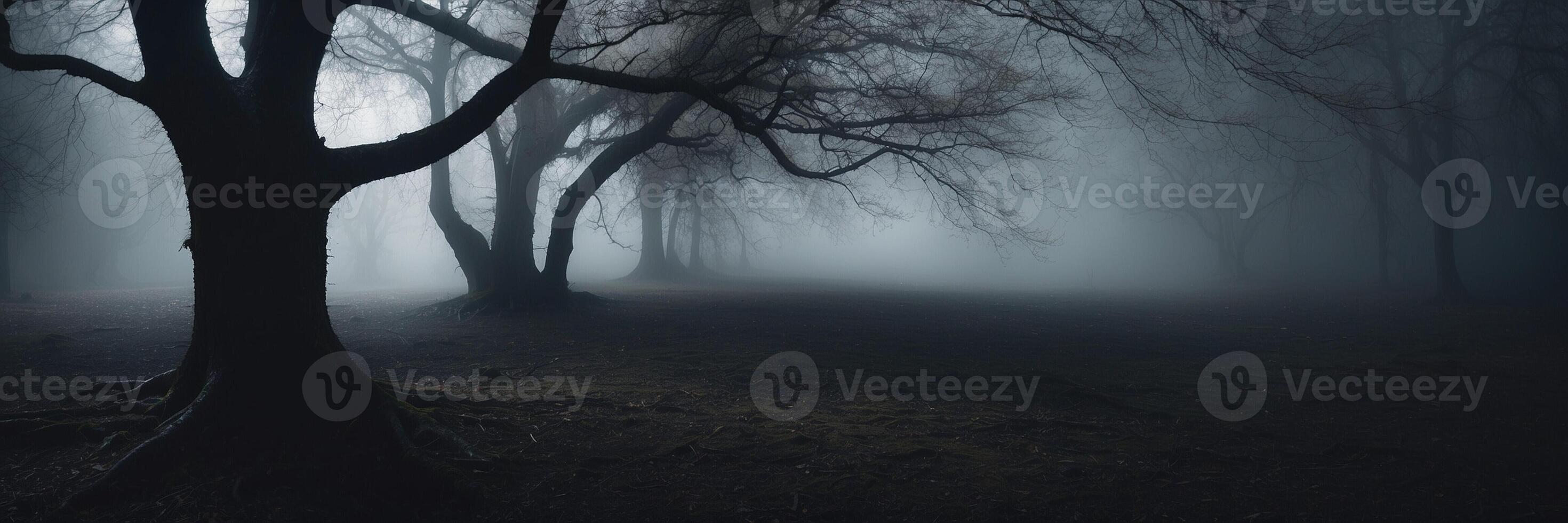A dark forest with trees and fog photo