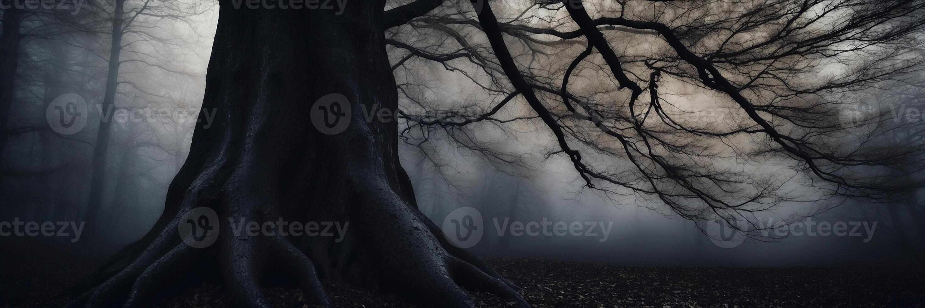 A dark and foggy forest with a tree in the middle photo