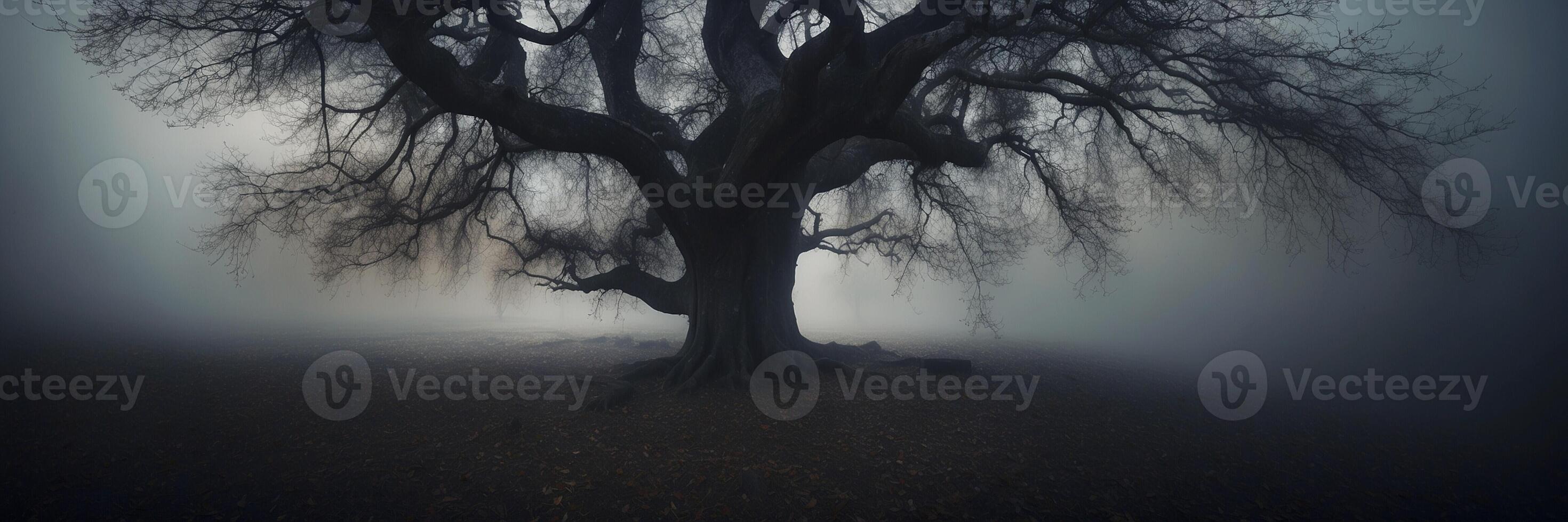 A tree in the fog with no leaves photo