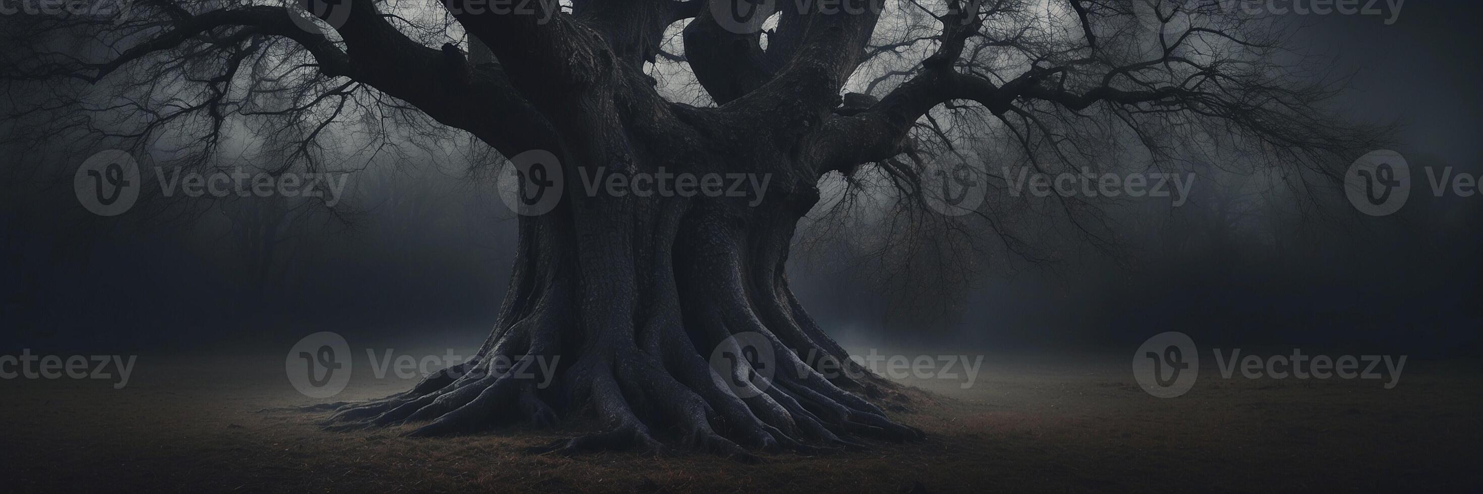 A dark tree in the fog with a dark sky photo