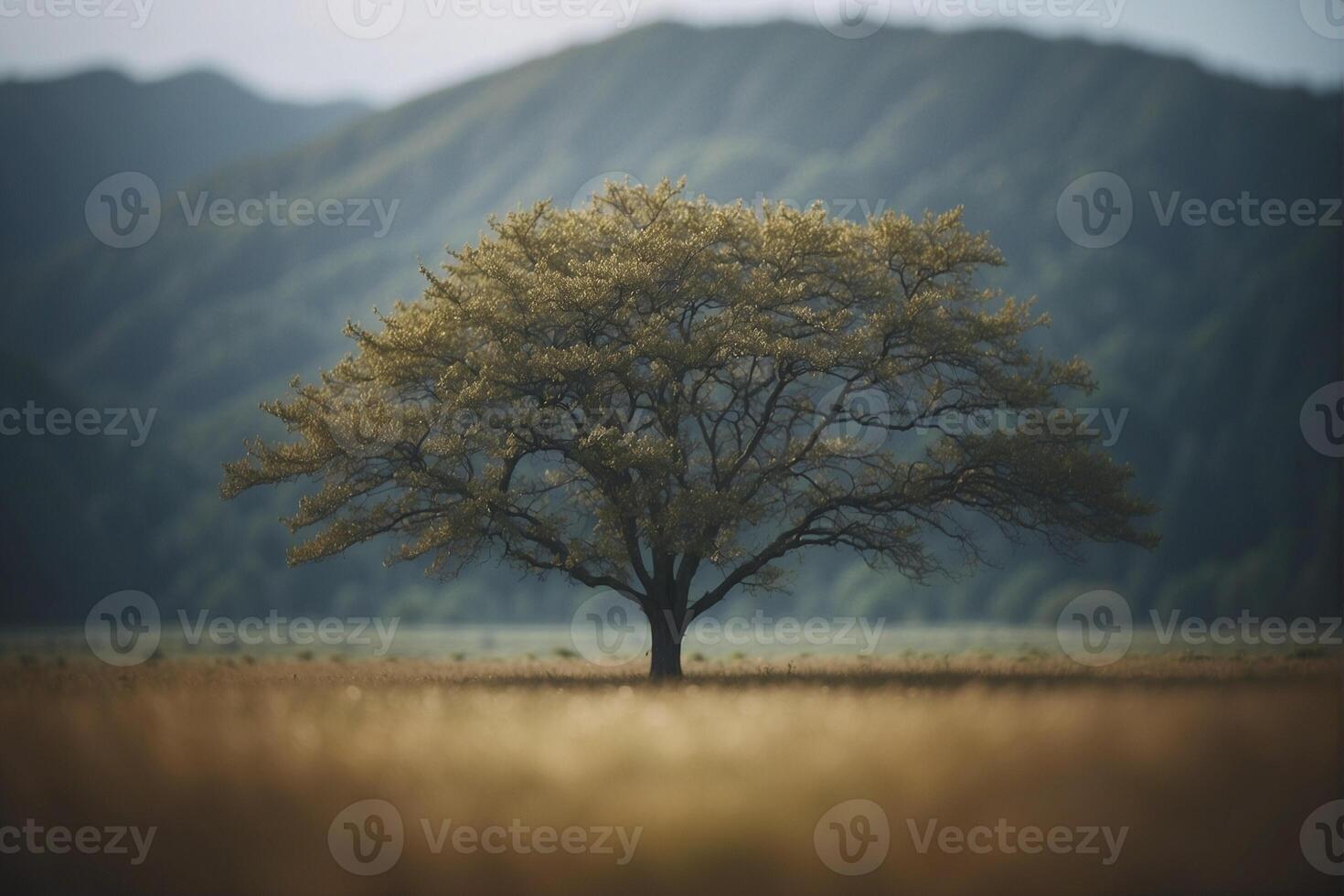 A lone tree stands in a field with mountains in the background photo