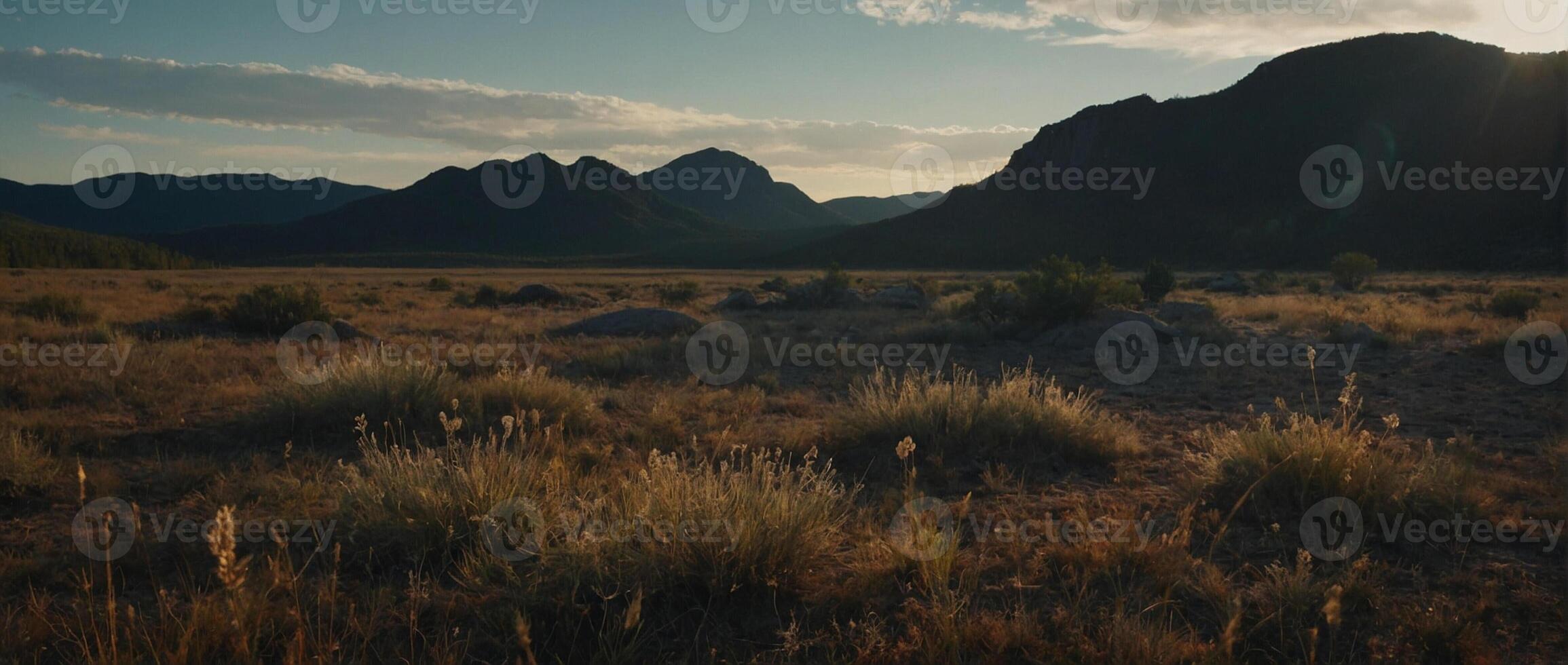 A field with grass and mountains in the background photo
