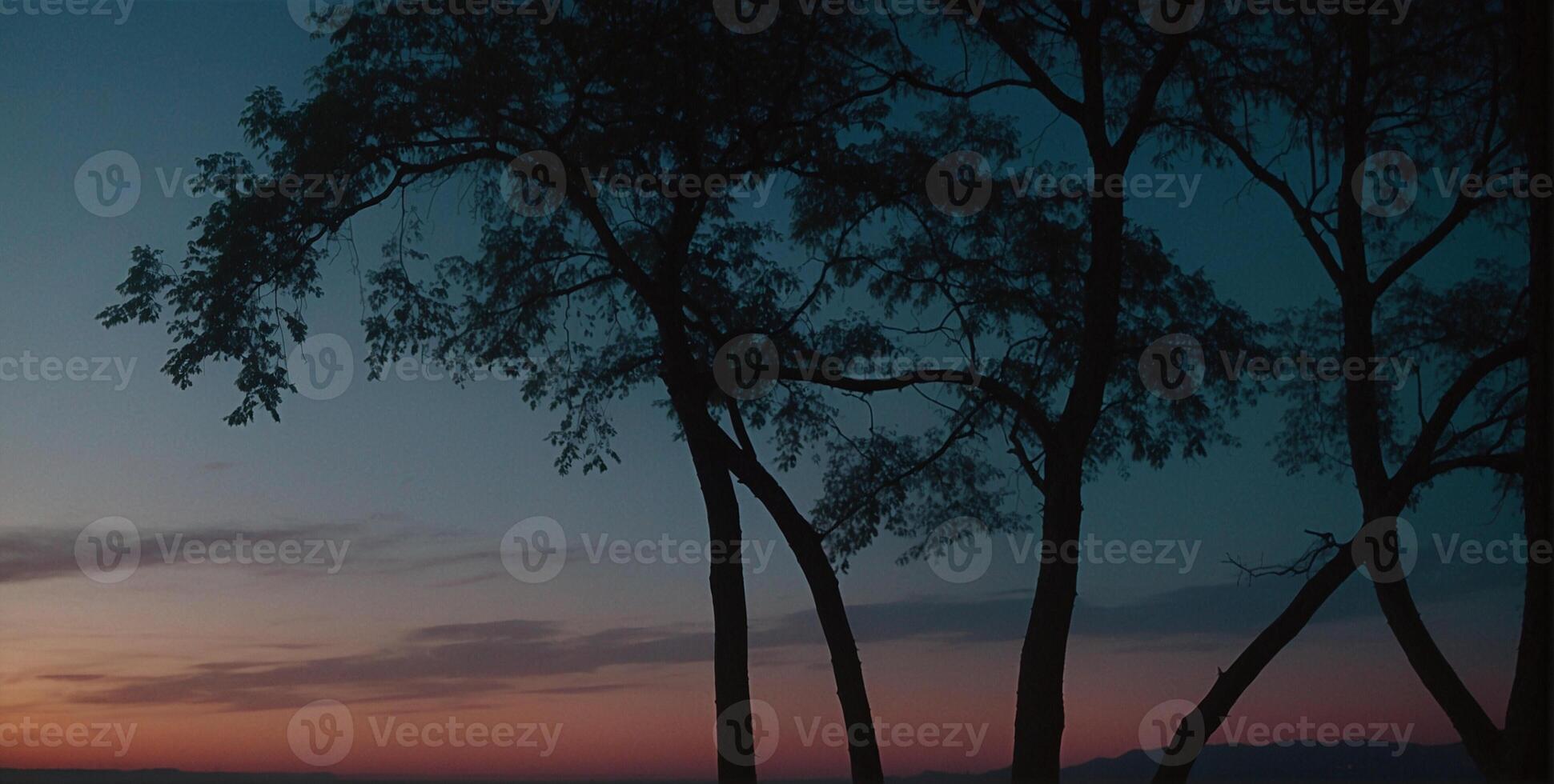 A sunset over the ocean with trees in the background photo