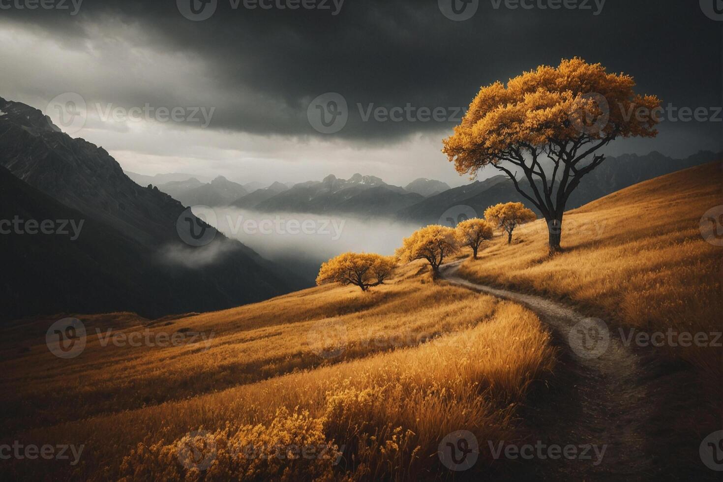 A path leads through a field with trees and mountains photo