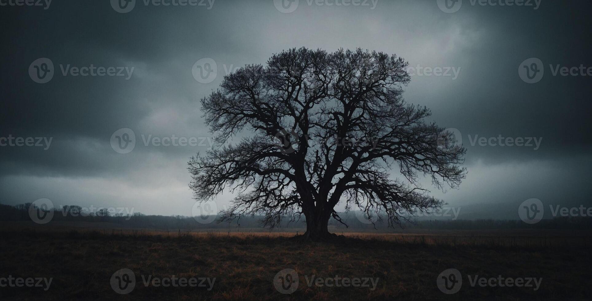 A lone tree stands in a field under a dark sky photo