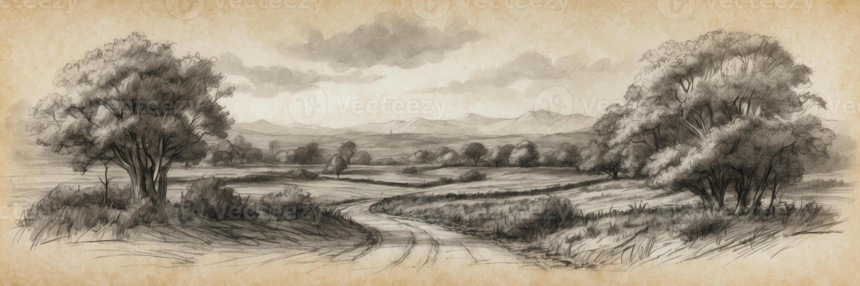 A drawing of a country road with trees photo