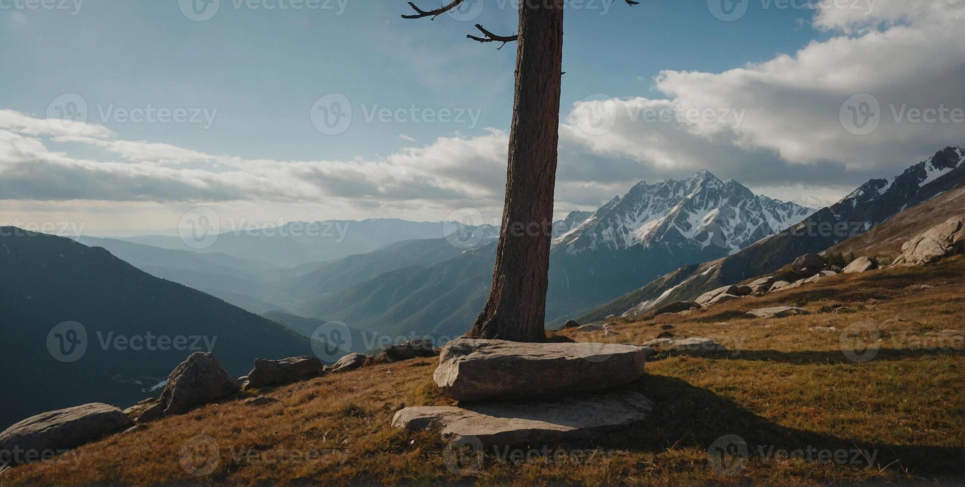 A lone tree sits on top of a mountain with a view of the valley photo