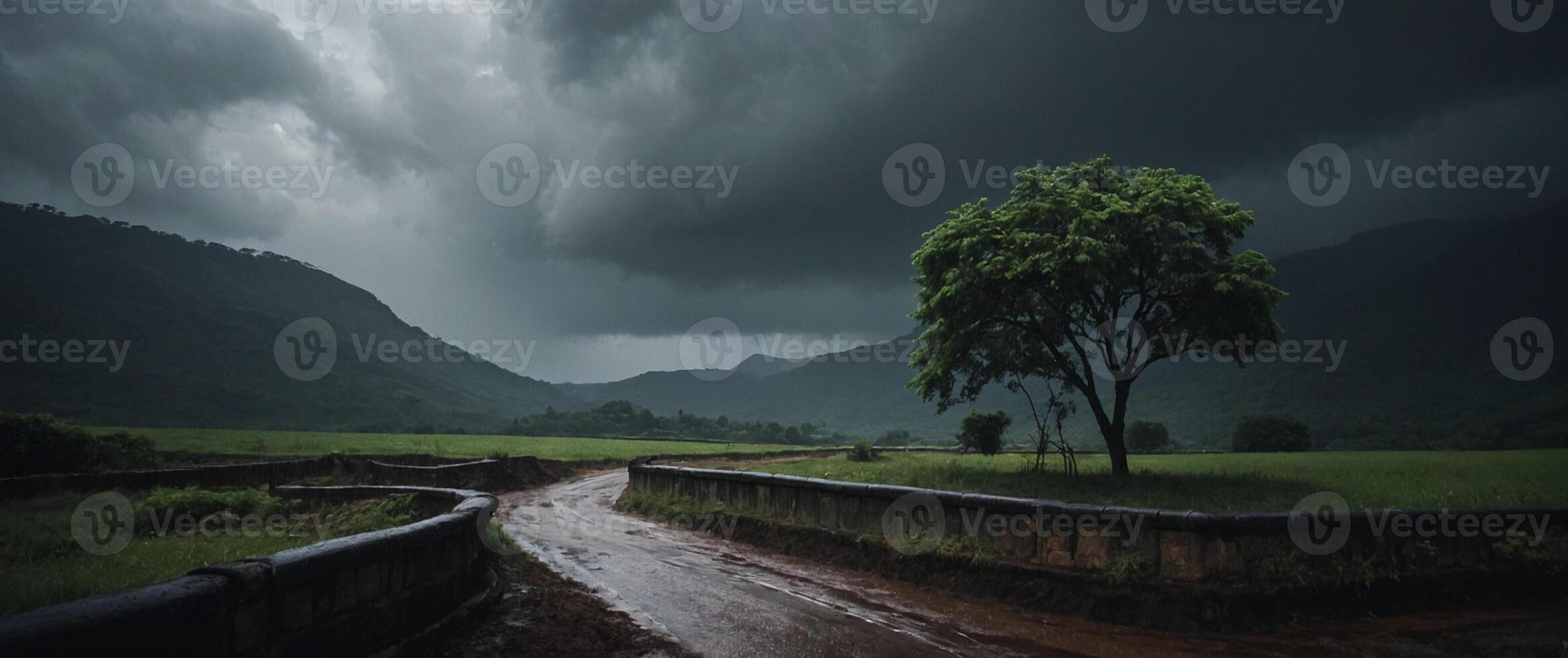A road leading to a tree in a field photo