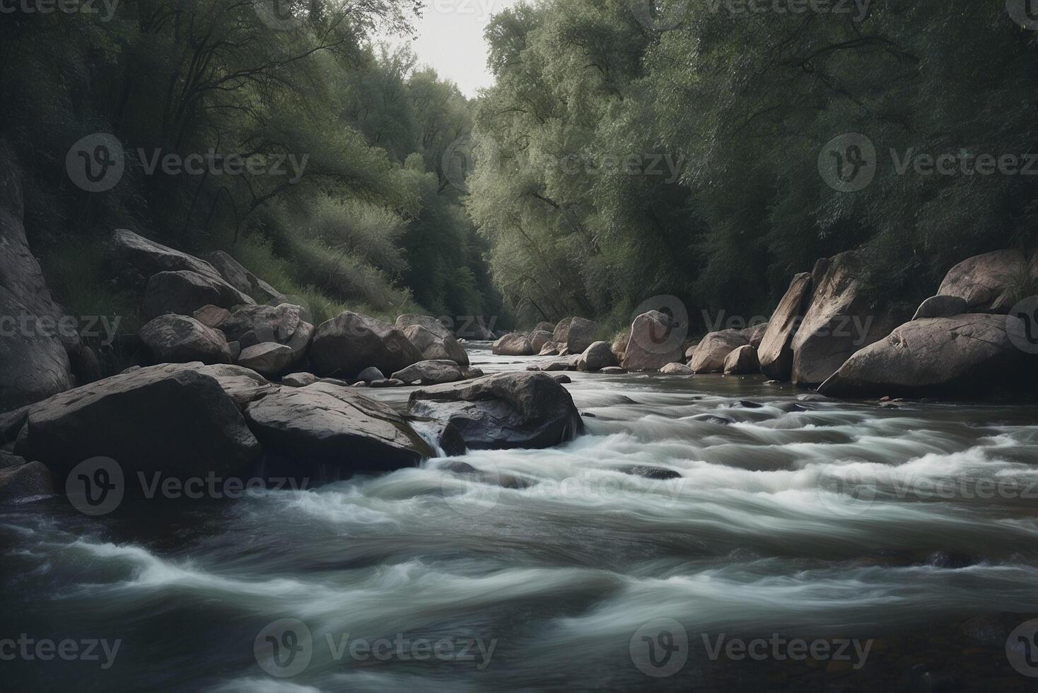 A river flowing through a forest with rocks and trees photo