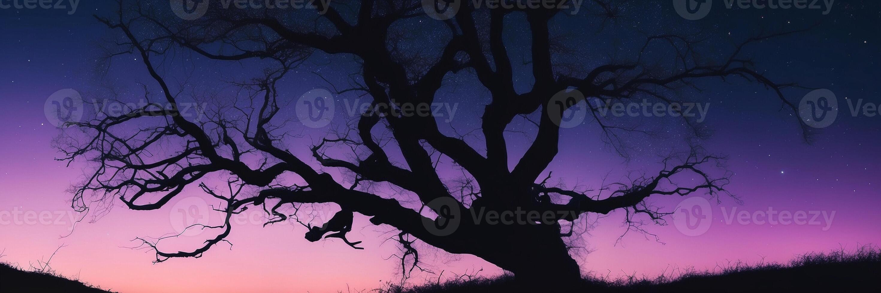A tree silhouetted against a purple sky photo
