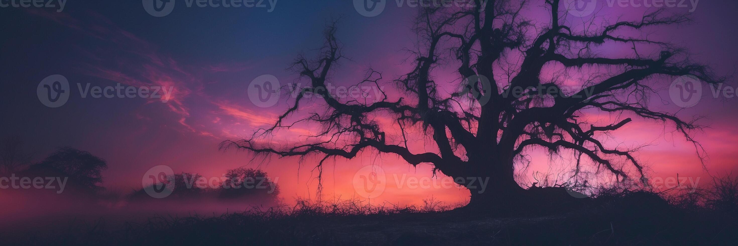A tree in the middle of a foggy field at sunset photo