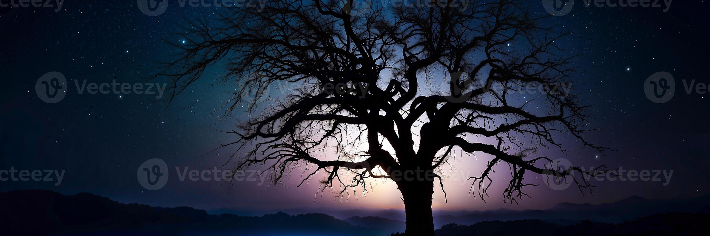 A tree in the dark with a moon in the background photo