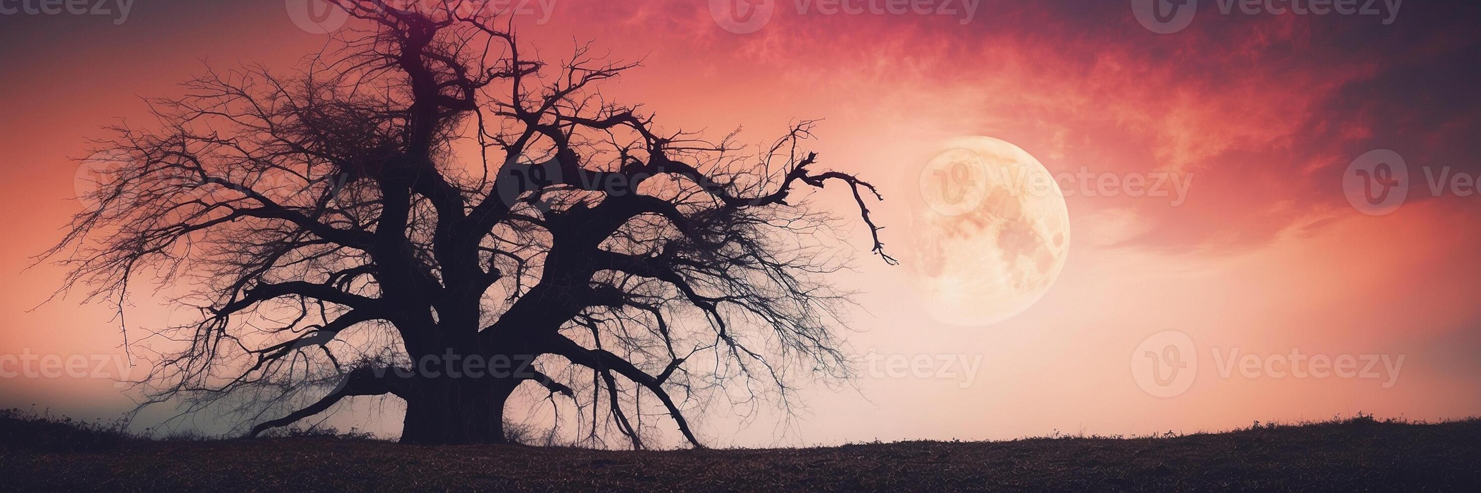 A tree with a full moon in the background photo