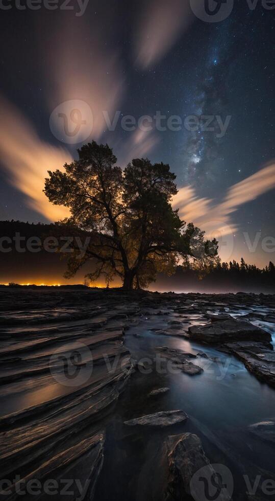A lone tree stands on a rocky shore at night photo