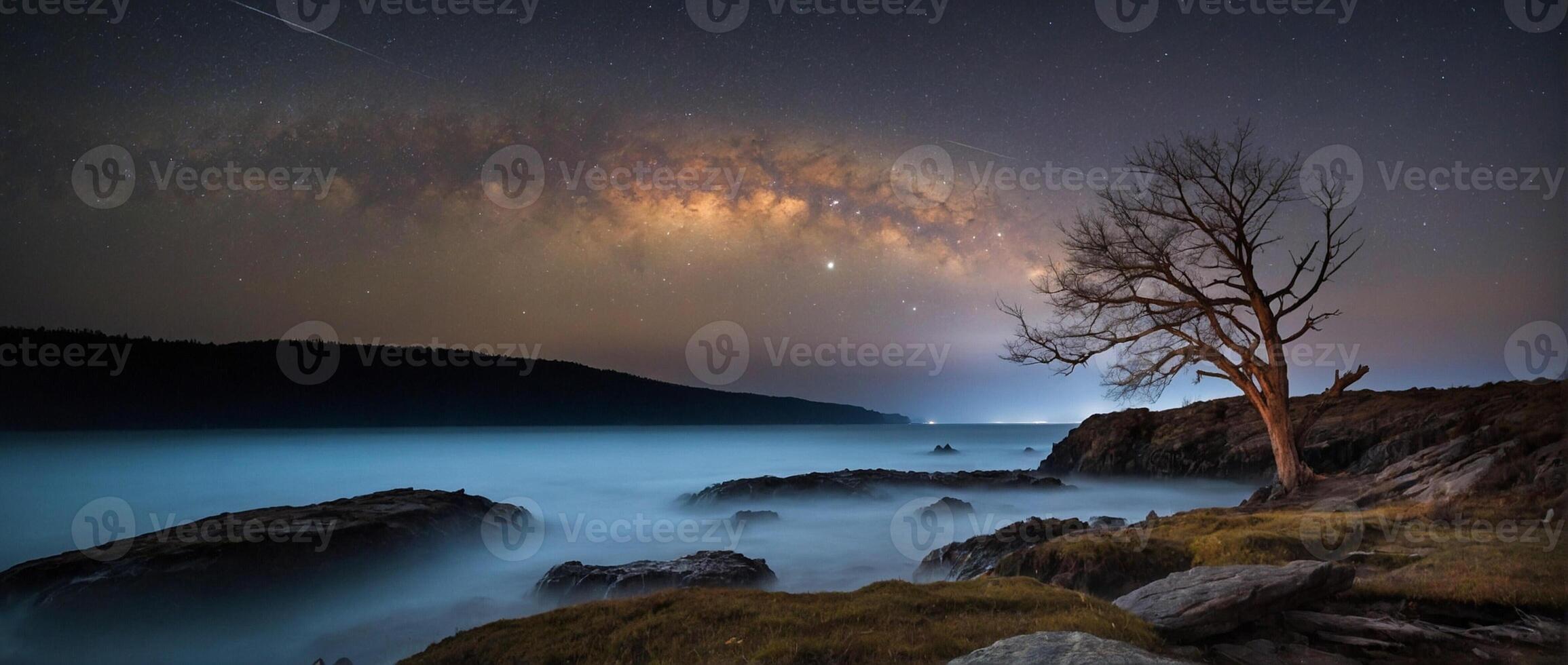 A lone tree stands on the shore of a lake under a starry sky photo