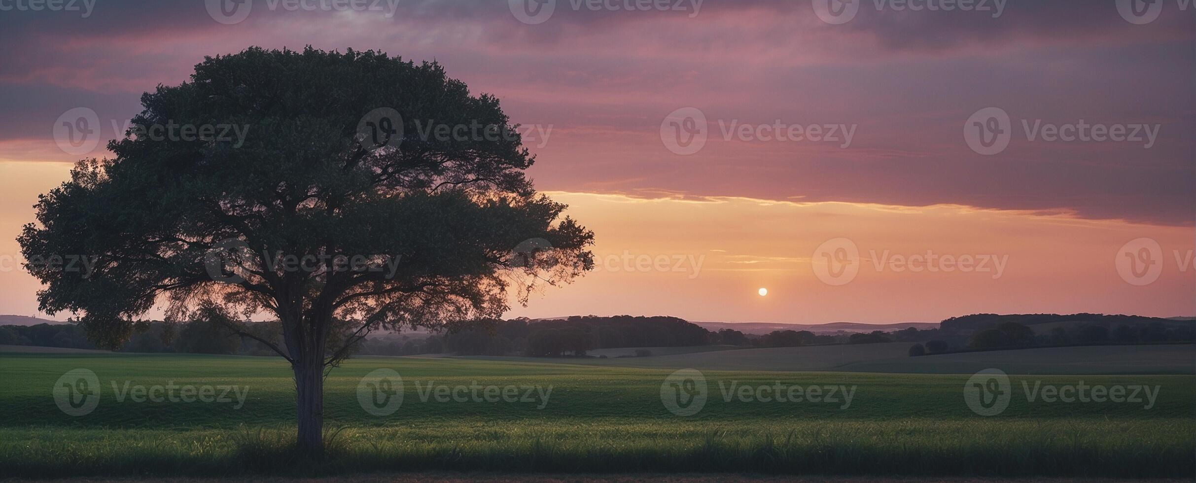 A lone tree stands in the middle of a field at sunset photo