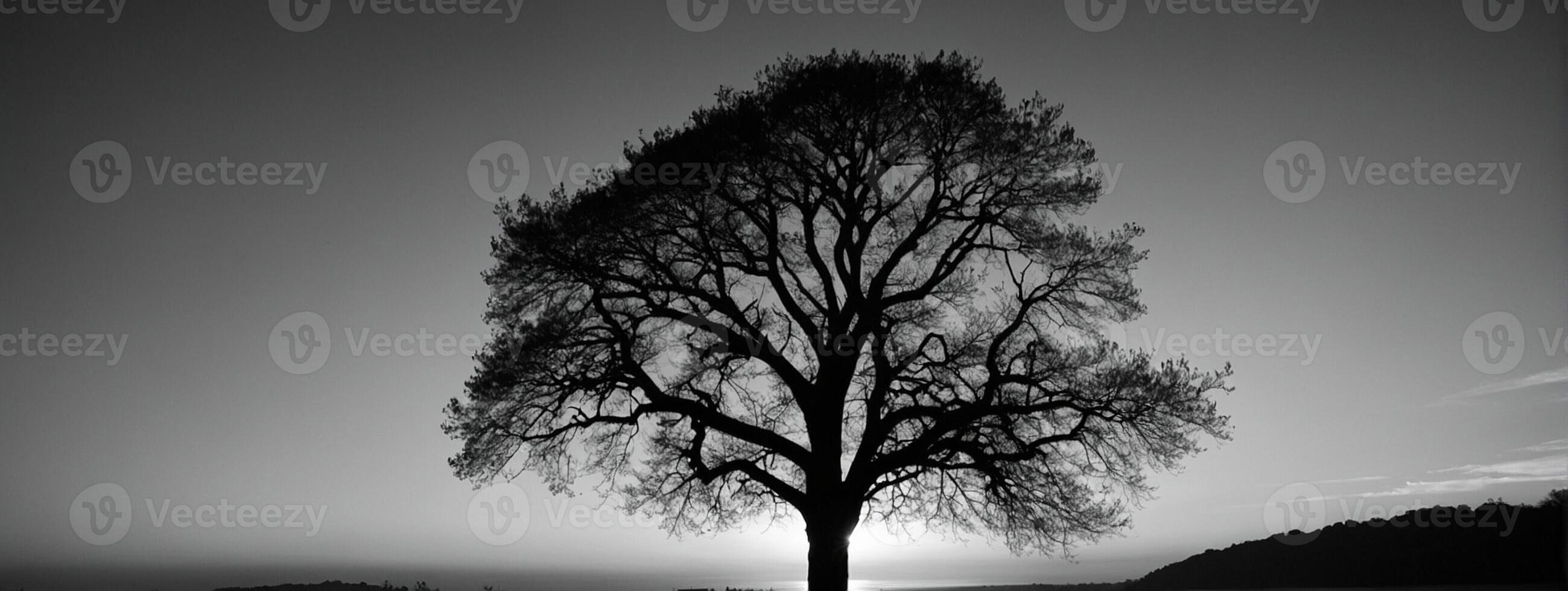 A black and white photo of a tree in the middle of a field