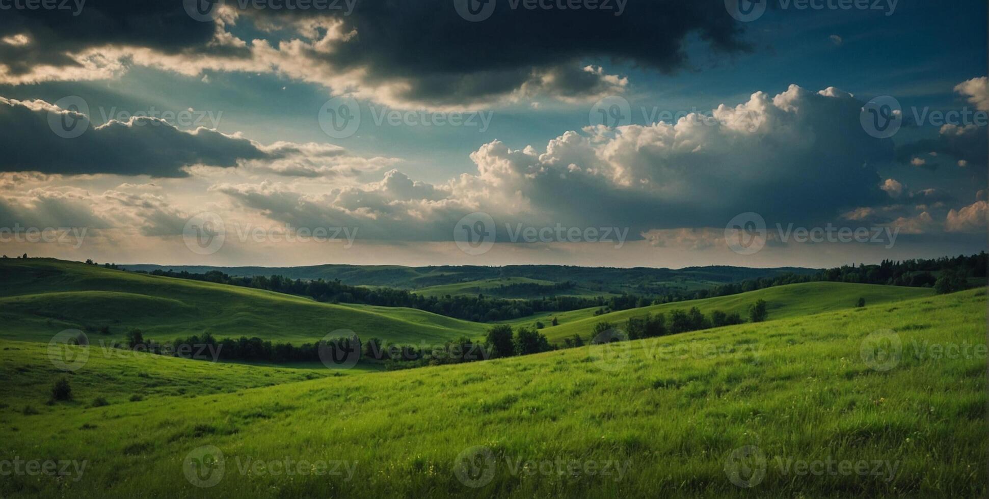 A green field with trees and clouds photo