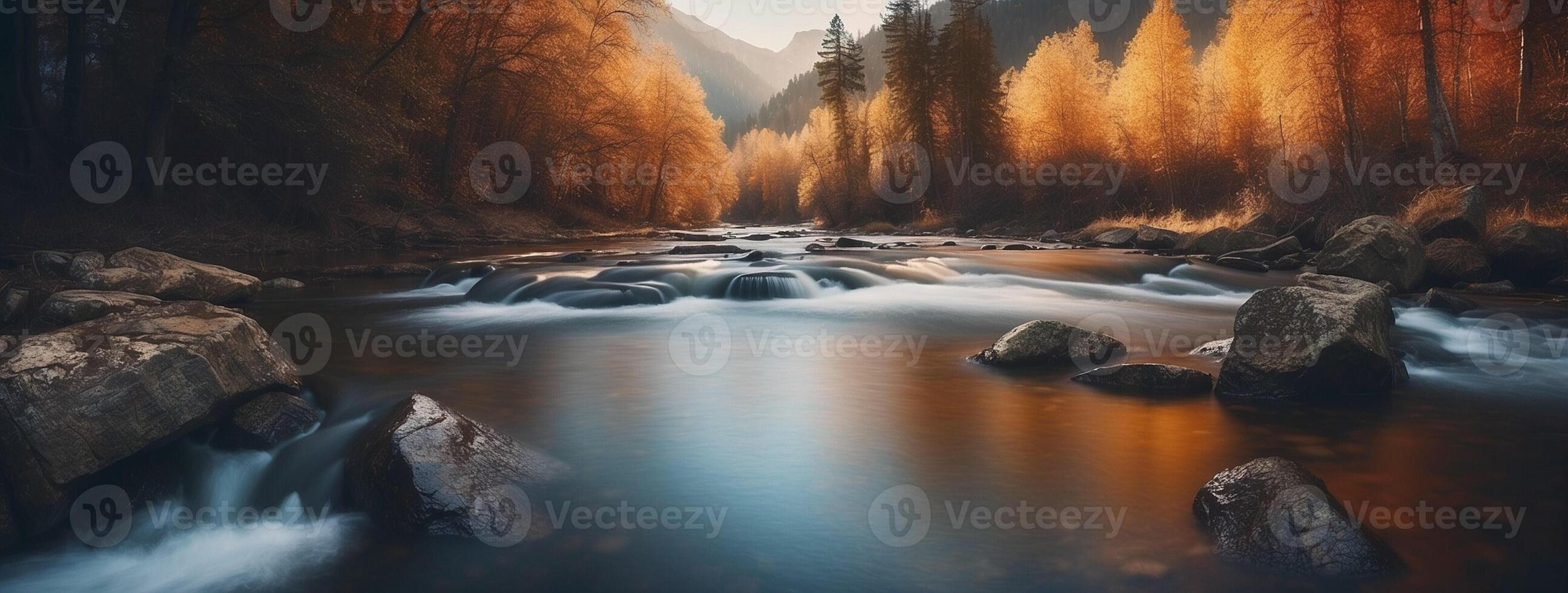A river flowing through a forest at sunset photo